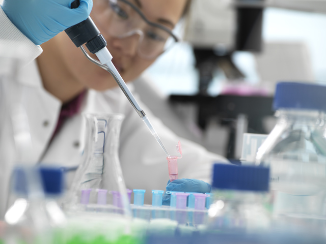Maestría en Biología Molecular Médica
