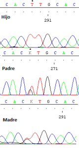 ¿DESEAS TENER UN HIJO? TE PRESENTO EL ESTUDIO DE PORTADORES