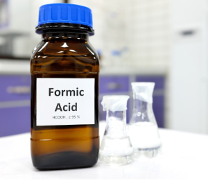 ESTE MÉTODO DE DIAGNÓSTICO DEL ALZHÉIMER RECUERDA A LAS HORMIGAS, PERO NO TIENE NADA QUE VER CON ELLAS