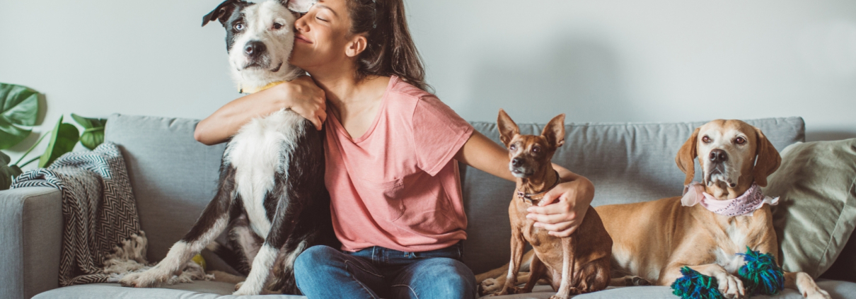 ACARICIAR A TU MASCOTA TE PUEDE AYUDAR A REDUCIR EL ESTRÉS: Y BASTA CON UNOS MINUTOS