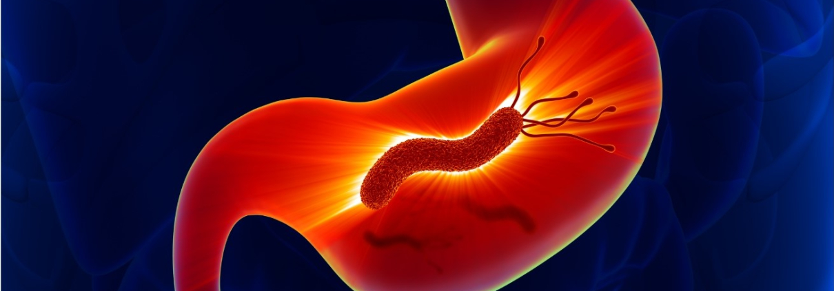 ‘HELICOBACTER PYLORI’: TODO LO QUE DEBES SABER