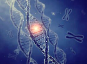 BIOPSIA LÍQUIDA: UNA NUEVA ESPERANZA EN LA DETECCIÓN DEL CÁNCER