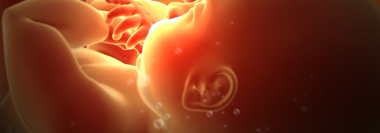 EL PODER DEL DIAGNÓSTICO PRENATAL NO INVASIVO