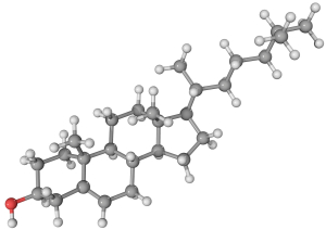 EL COLESTEROL: ¿ENEMIGO O ALIADO DE NUESTRA SALUD?