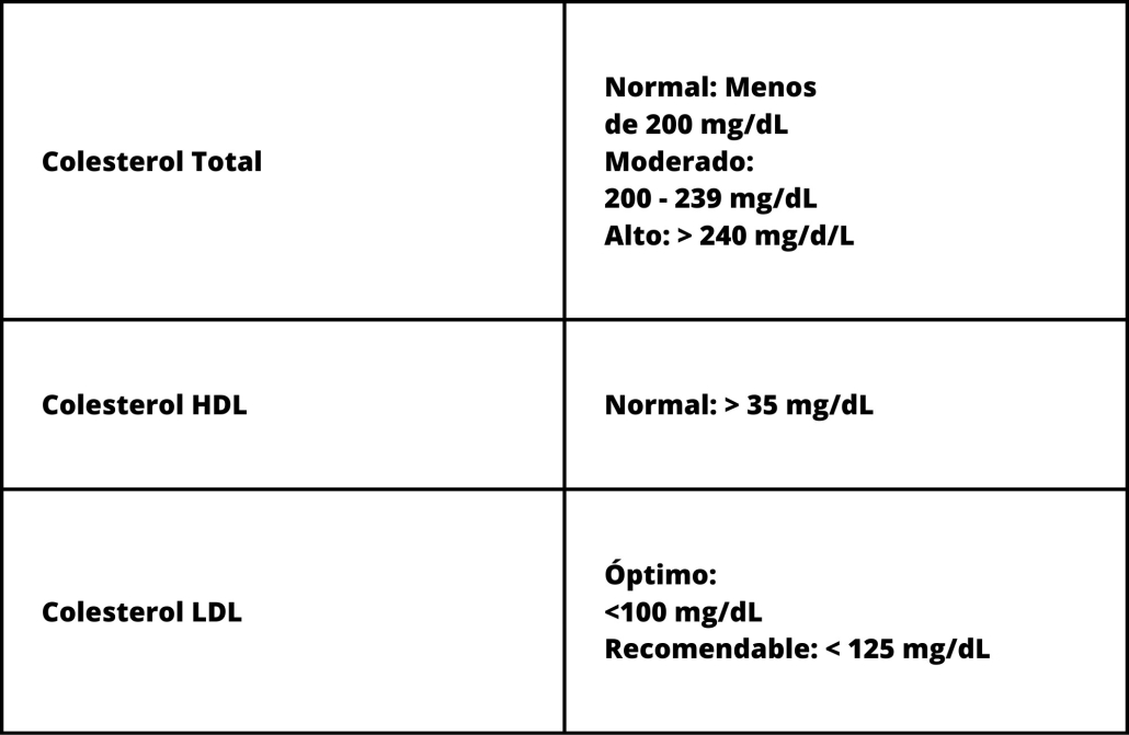 EL COLESTEROL: ¿ENEMIGO O ALIADO DE NUESTRA SALUD?