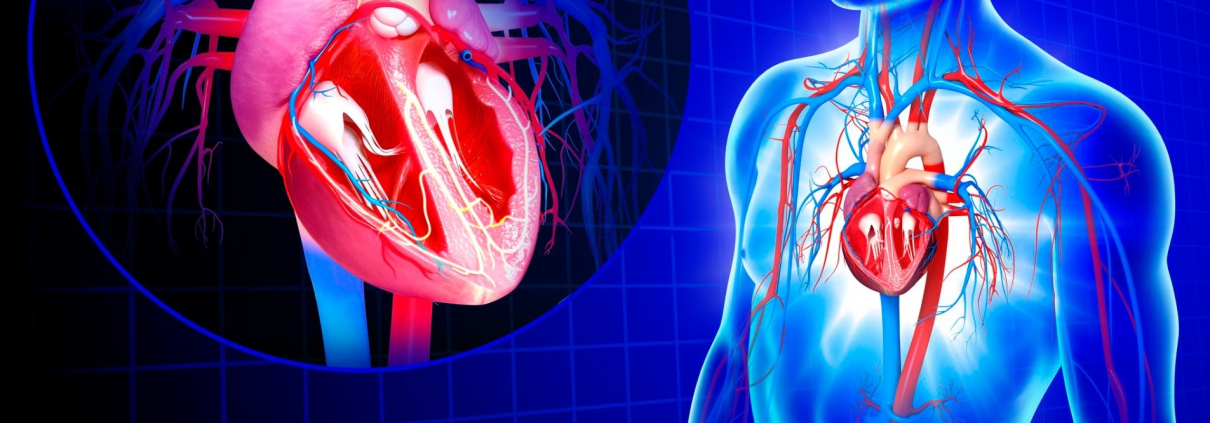 GENES Y MUERTE SÚBITA: CLAVES PARA LA PREVENCIÓN Y LA SALUD CARDÍACA