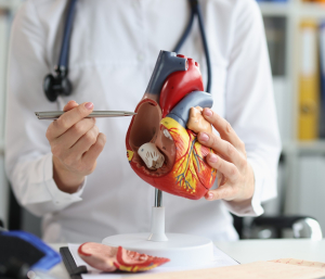 GENES Y MUERTE SÚBITA: CLAVES PARA LA PREVENCIÓN Y LA SALUD CARDÍACA