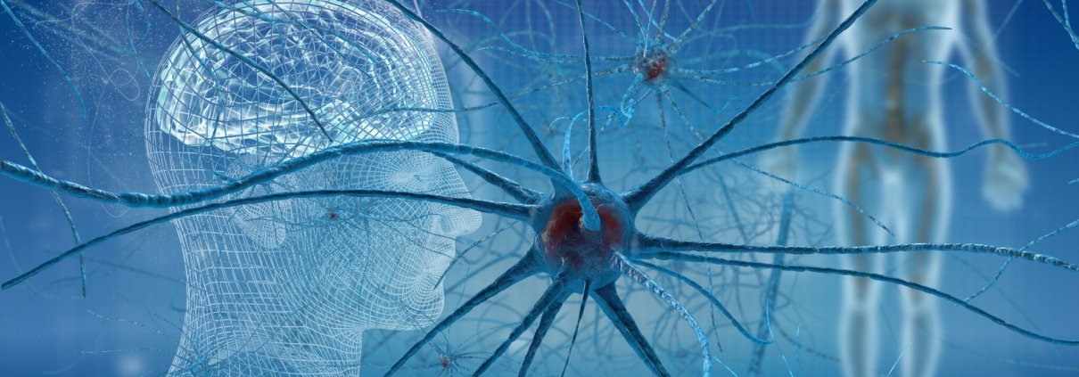 LA ENFERMEDAD DE HUNTINGTON: UN VISTAZO PROFUNDO A UNA ENFERMEDAD NEURODEGENERATIVA DEVASTADORA