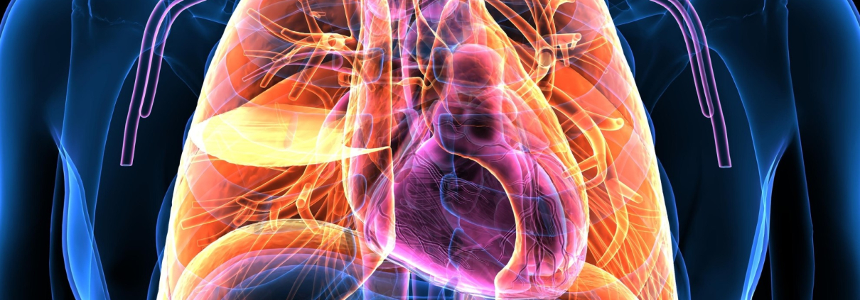 ENFERMEDADES RESPIRATORIAS GENÉTICAS: COMPRENDER LAS CAUSAS, SÍNTOMAS Y AVANCES EN EL TRATAMIENTO