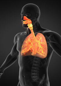 ENFERMEDADES RESPIRATORIAS GENÉTICAS: COMPRENDER LAS CAUSAS, SÍNTOMAS Y AVANCES EN EL TRATAMIENTO