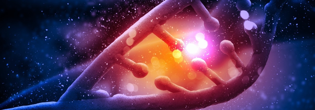 ENTENDIENDO LAS MOLÉCULAS DE LA VIDA: LAS DIFERENCIAS FUNDAMENTALES ENTRE EL ARN Y EL ADN