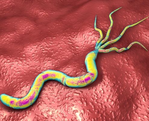 HELICOBACTER PYLORI: UN ENFOQUE INTEGRAL AL DIAGNÓSTICO Y DETECCIÓN CON EL TEST DE AIRE