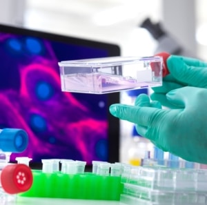 LA REVOLUCIÓN DE LA GENÉTICA EN LA PREVENCIÓN DE ENFERMEDADES RELACIONADAS CON EL ENVEJECIMIENTO