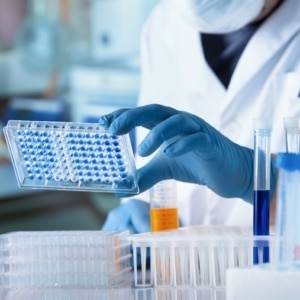 TRASTORNOS HEREDITARIOS DEL METABOLISMO DE LA CREATINA: IMPLICACIONES CLÍNICAS Y DIAGNÓSTICO MOLECULAR