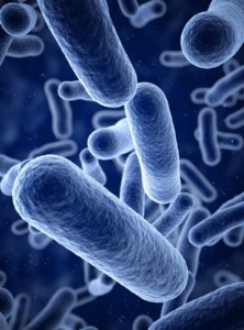 PRUEBA DE SIBO: CLAVE PARA ENTENDER LA CAUSA DE TU HINCHAZÓN ABDOMINAL CRÓNICA