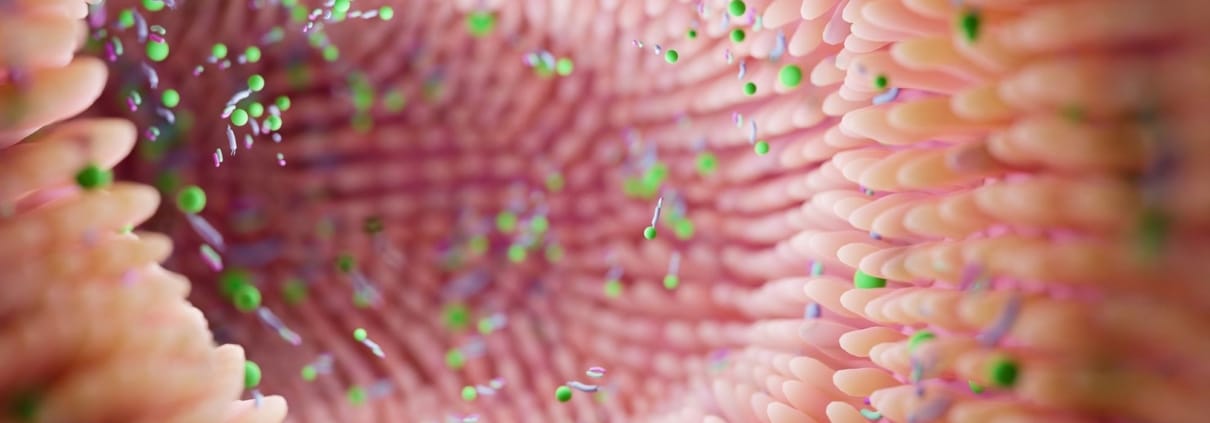 EPIGENÉTICA Y SALUD MENTAL: ¿CÓMO INFLUYEN NUESTRAS EXPERIENCIAS EN LOS GENES?