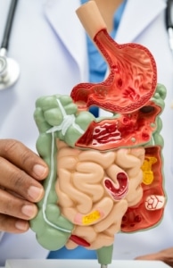 EPIGENÉTICA Y SALUD MENTAL: ¿CÓMO INFLUYEN NUESTRAS EXPERIENCIAS EN LOS GENES?
