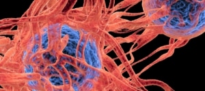 GENÉTICA DEL CÁNCER HEREDITARIO: ¿CÓMO SABER SI HAY RIESGO FAMILIAR?