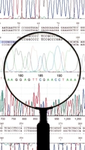 GENÉTICA DEL CÁNCER HEREDITARIO: ¿CÓMO SABER SI HAY RIESGO FAMILIAR?