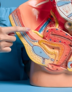 MÁS ALLÁ DEL DIAGNÓSTICO CLÁSICO: CÓMO LA GENÉTICA Y LA BIOLOGÍA MOLECULAR ESTÁN REVOLUCIONANDO EL ESTUDIO DE LAS ETS