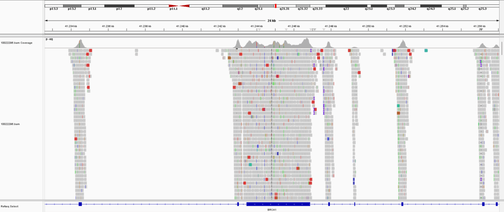 PRIMERAS APROXIMACIONES A UN ENFOQUE DIAGNÓSTICO Y TERAPEUTICO DEL TEA BASADO EN MARCADORES GENÉTICOS E INFLAMATORIOS
