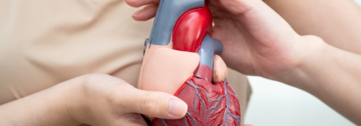 AVANCES EN FARMACOGENÓMICA CARDIOVASCULAR: MÁS ALLÁ DEL METABOLISMO DE FÁRMACOS