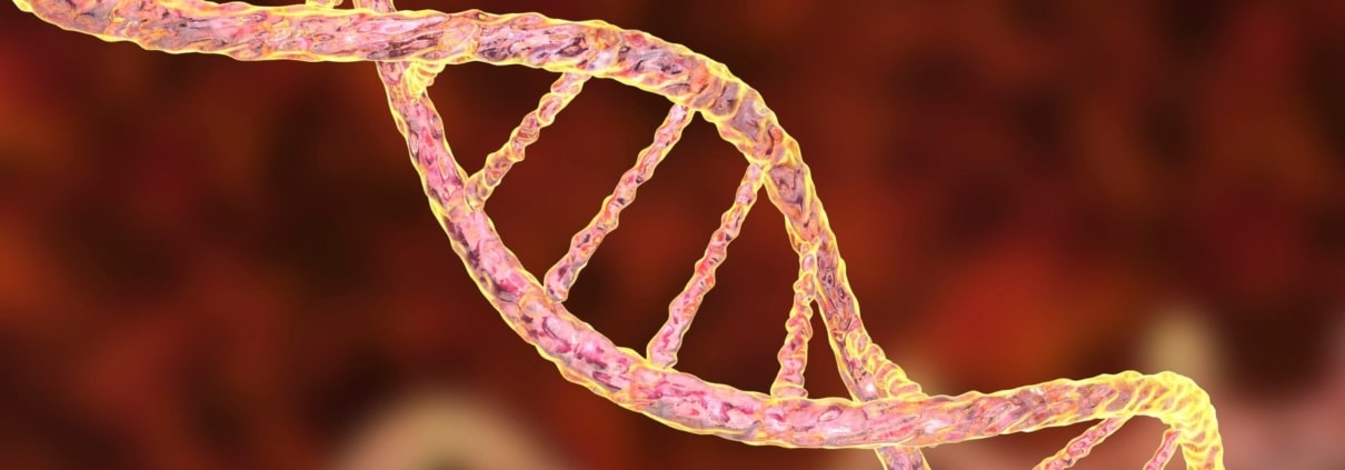 QUÉ OCURRE CUANDO UN GEN “SE APAGA” ANTES DE TIEMPO