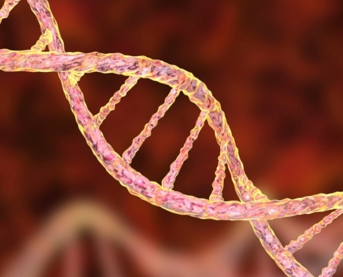 QUÉ OCURRE CUANDO UN GEN “SE APAGA” ANTES DE TIEMPO