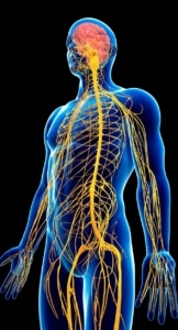 POR QUÉ ALGUNOS TRASTORNOS NEUROLÓGICOS EMPEORAN CON LA EDAD