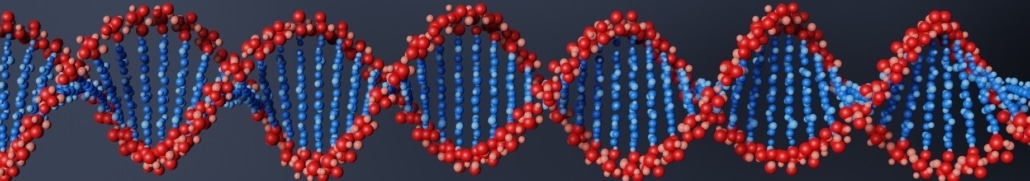 GENES Y OBESIDAD: ¿HASTA QUÉ PUNTO DETERMINA LA GENÉTICA NUESTRO PESO?