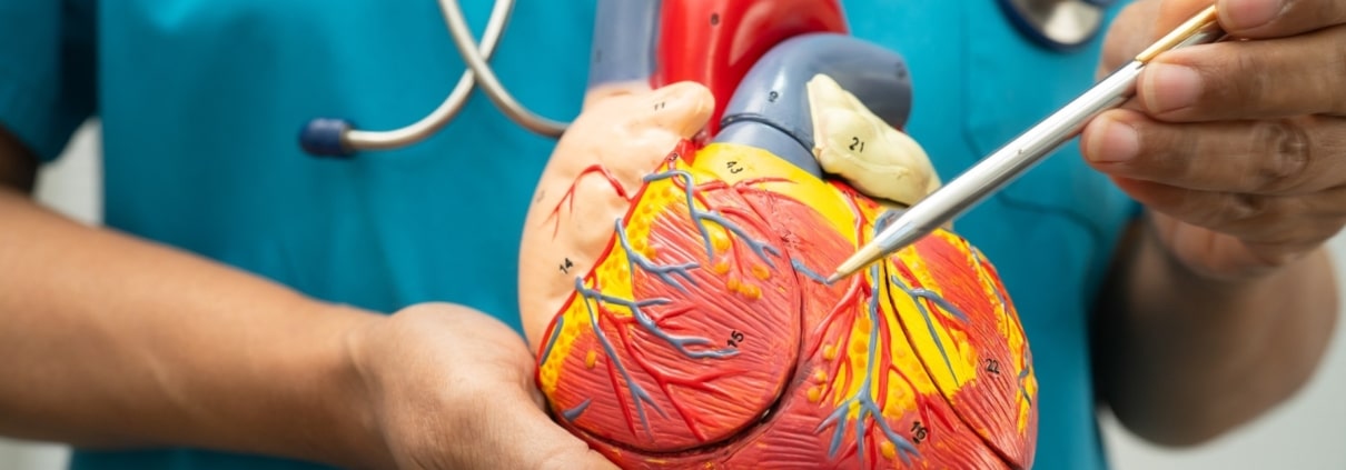 QUÉ REVELA UN ESTUDIO GENÉTICO EN ENFERMEDADES CARDÍACAS HEREDITARIAS