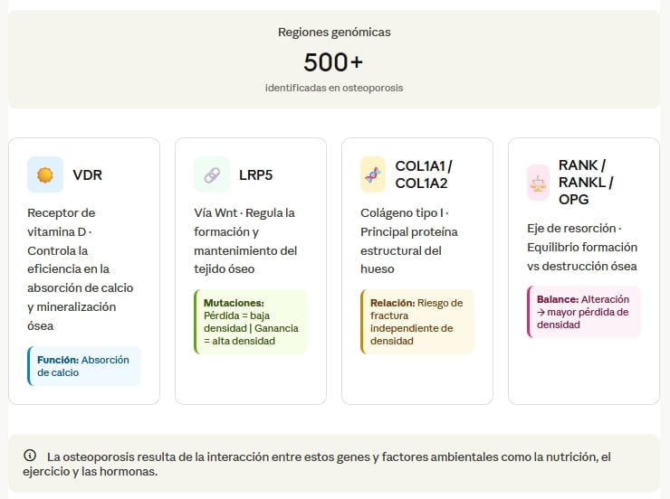 CÓMO INFLUYE LA GENÉTICA EN EL RIESGO DE OSTEOPOROSIS
