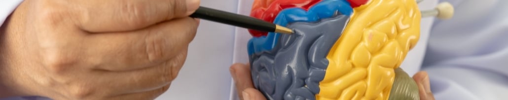 ¿PUEDO HEREDAR EL ALZHEIMER? RIESGO GENÉTICO REAL VS MITO
