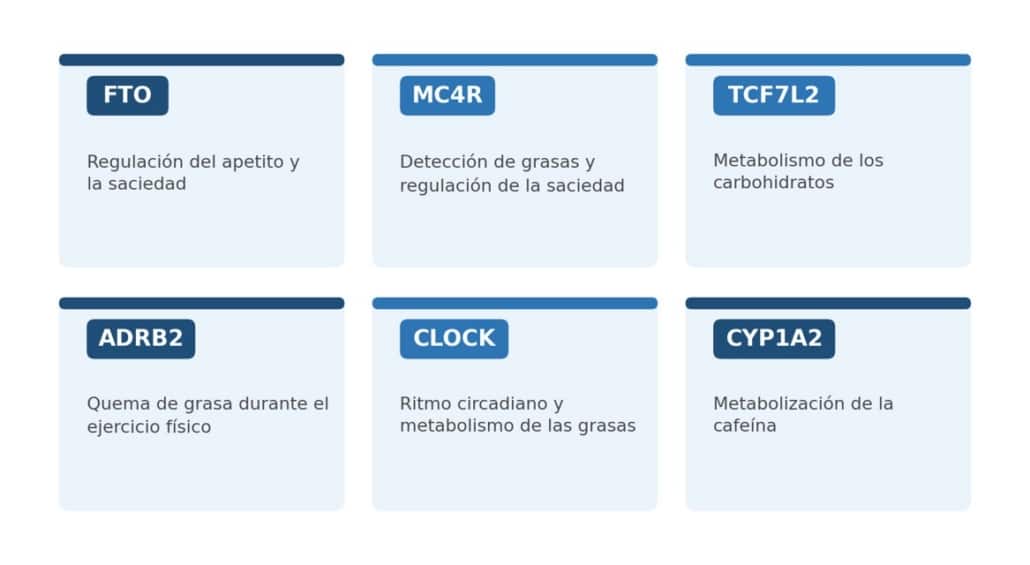 Lorgen Nutriome: cómo influye tu ADN en la dieta que realmente funciona para ti