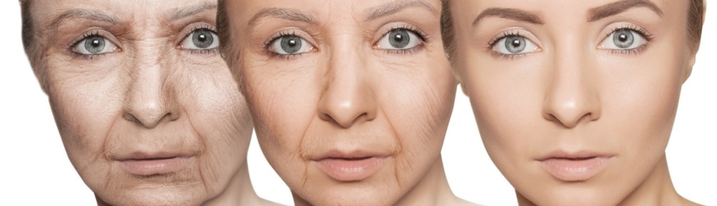 LORGEN LONGEVITY: QUÉ ES LA EPIGENÉTICA Y CÓMO INFLUYE EN TU EDAD BIOLÓGICA