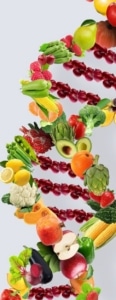 LORGEN NUTRIOME: CÓMO INFLUYE TU ADN EN LA DIETA QUE REALMENTE FUNCIONA PARA TI