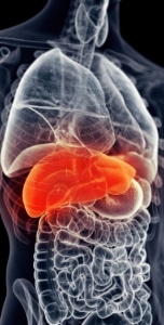 HEMOCROMATOSIS HEREDITARIA: LA ENFERMEDAD GENÉTICA MÁS FRECUENTE QUE CASI NADIE CONOCE