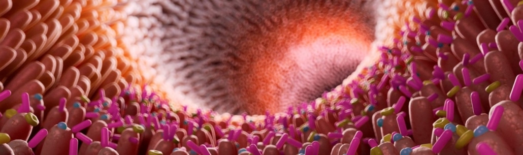 LORGEN MICROBIOME: QUÉ ES LA MICROBIOTA INTESTINAL Y CÓMO INFLUYE EN TU SALUD